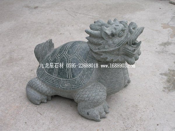 連江青龍頭龜